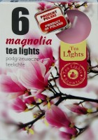 Pl Podgrzewacz Zapachowy A/6 Magnolia